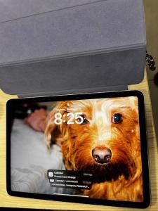 cs 864 2024 IPAD PURPLE COVER